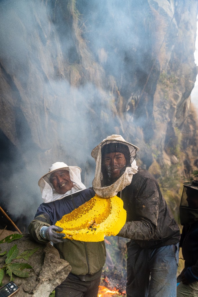 Mad honey hunting